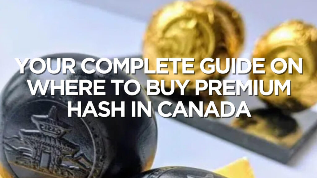 Your Complete Guide On Where To Buy Premium Hash In Canada