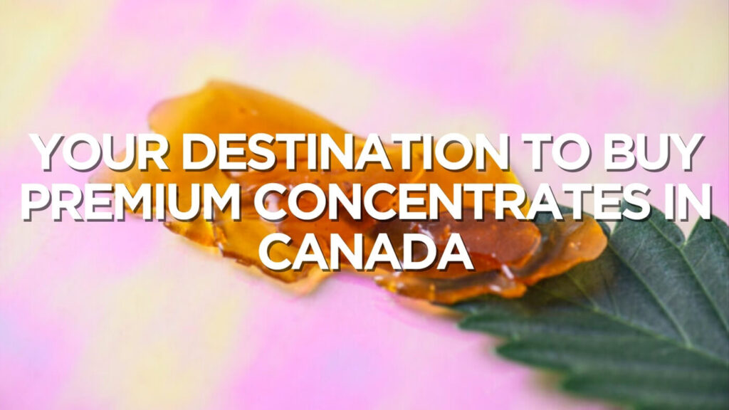 Your Destination To Buy Premium Concentrates In Canada