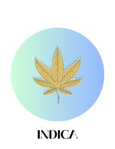 Indica