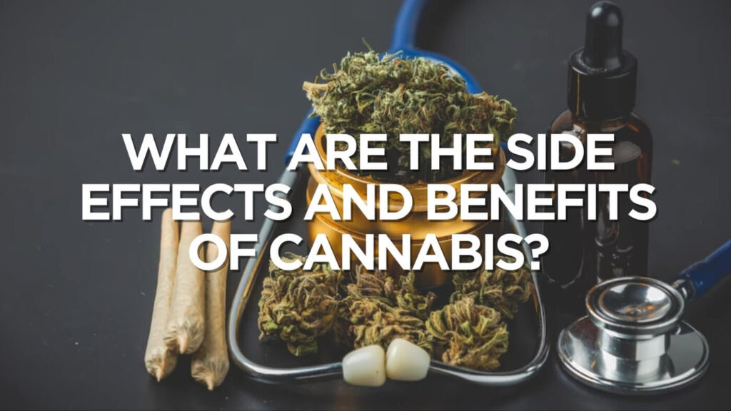 What Are The Side Effects And Benefits Of Cannabis?