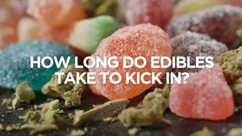 How Long Do Edibles Take To Kick In?