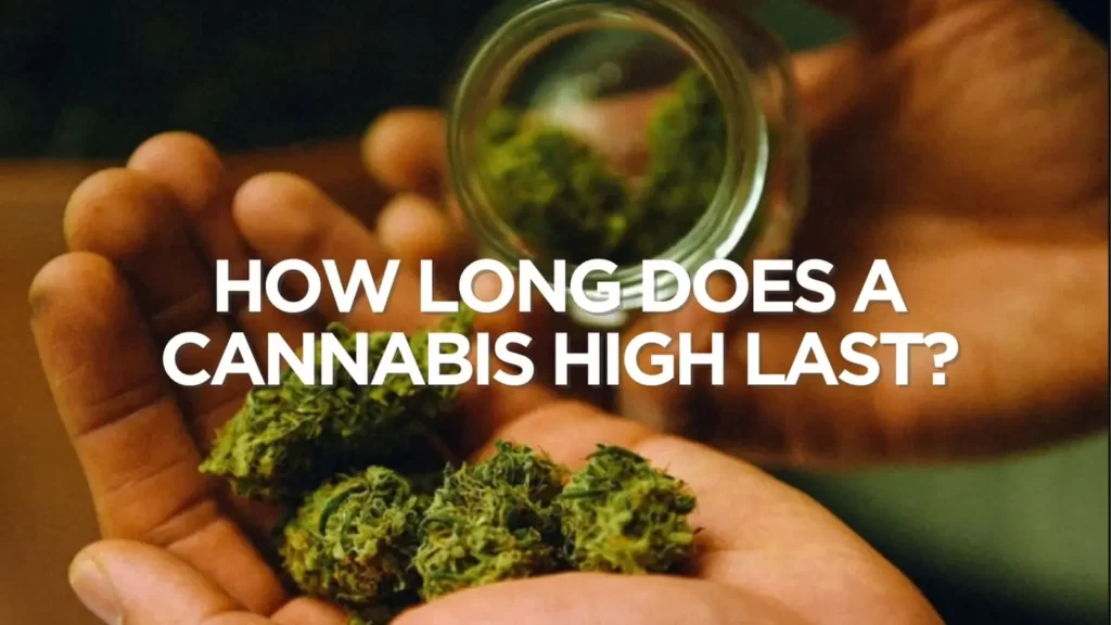 How Long Does A Cannabis High Last?