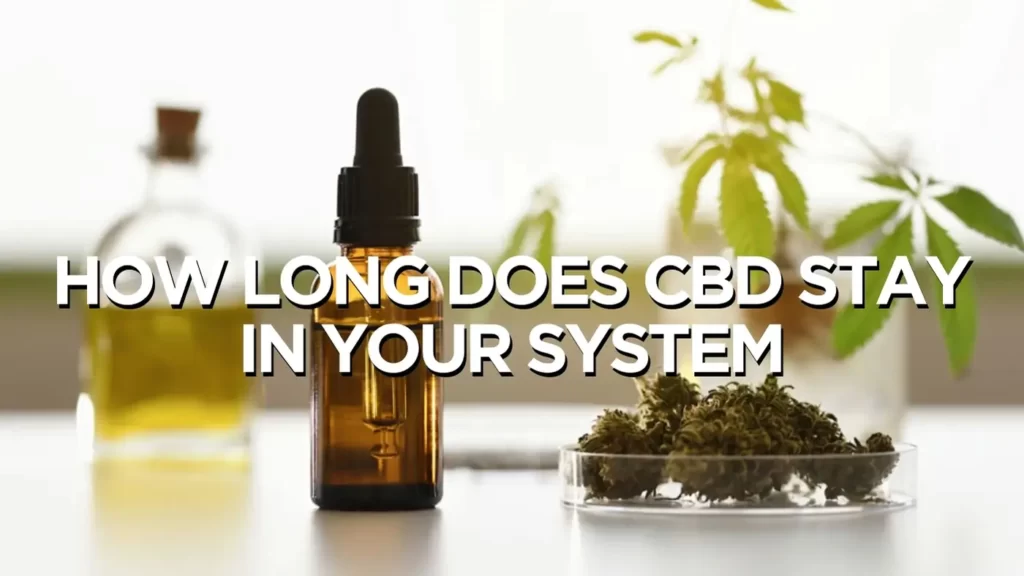 How Long Does Cbd Stay In Your System - A Full Guide