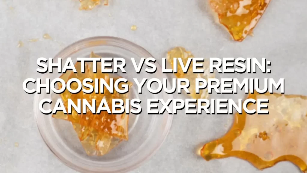 Shatter Vs Live Resin: Choosing Your Premium Cannabis Experience